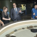 Acuario Michin Puebla se suma a los proyectos de los Voluntariados del Gobierno del Estado
