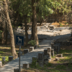 Convenciones y Parques realiza gestión integral del arbolado en Parque Metropolitano y Paseo del Río