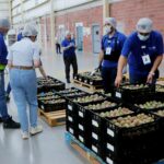 Pitaya poblana abre mercado en McAllen, Texas