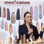 Presidenta Claudia Sheinbaum anuncia programa “Sin maíz no hay país” para producir con bienestar