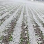 Gobierno del Estado supervisa afectaciones por granizada en municipios de Región Izta-Popo
