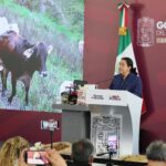 Puebla intensifica combate al gusano barrenador con vigilancia, capacitación y prevención